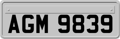 AGM9839