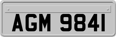 AGM9841