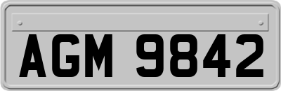 AGM9842