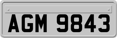 AGM9843