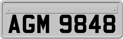 AGM9848