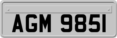 AGM9851