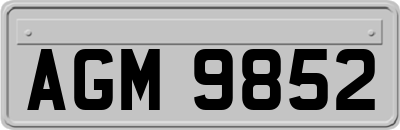 AGM9852