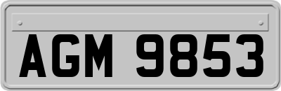 AGM9853