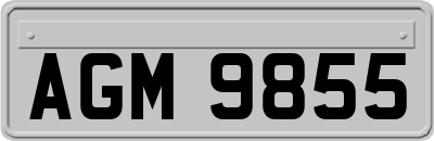 AGM9855