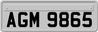 AGM9865