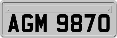 AGM9870