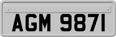 AGM9871