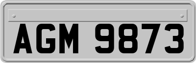 AGM9873