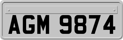 AGM9874