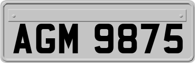 AGM9875