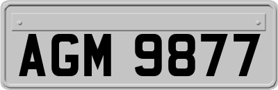 AGM9877