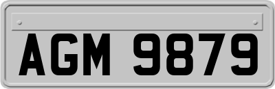 AGM9879