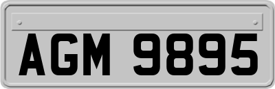 AGM9895