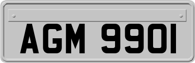 AGM9901
