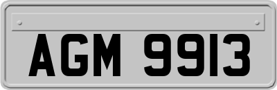 AGM9913