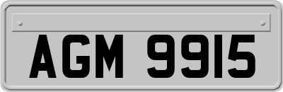 AGM9915