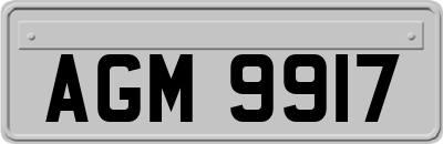AGM9917