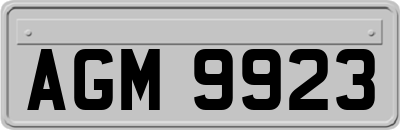 AGM9923