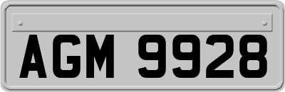 AGM9928
