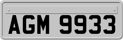 AGM9933