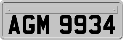 AGM9934