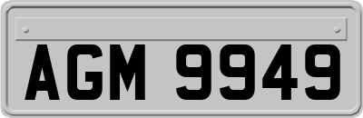 AGM9949