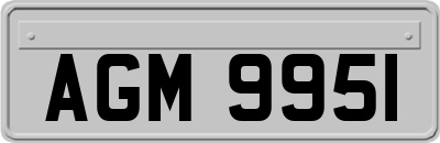 AGM9951