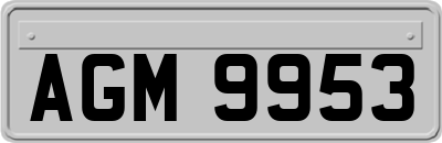 AGM9953