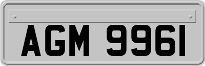 AGM9961