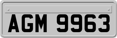 AGM9963