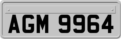AGM9964