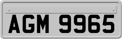 AGM9965
