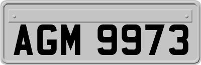 AGM9973