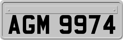 AGM9974