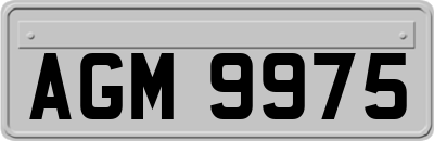AGM9975