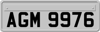 AGM9976