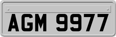 AGM9977