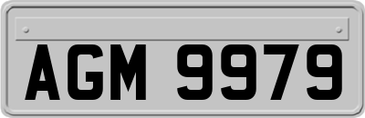 AGM9979