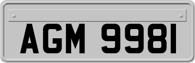 AGM9981