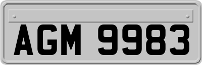 AGM9983