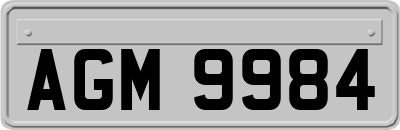 AGM9984