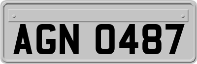 AGN0487