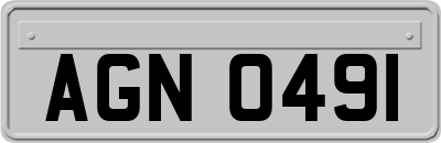 AGN0491