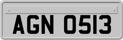 AGN0513