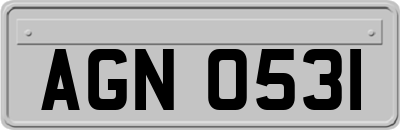 AGN0531