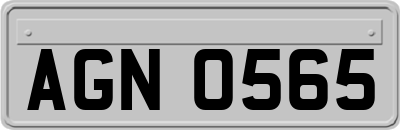 AGN0565