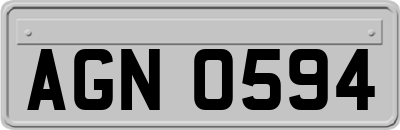 AGN0594