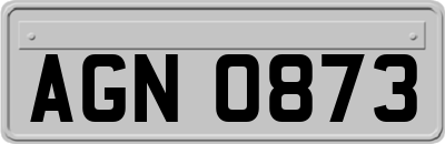AGN0873