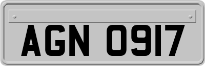 AGN0917